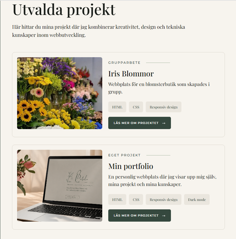 Förhandsvisning av projektöversikten